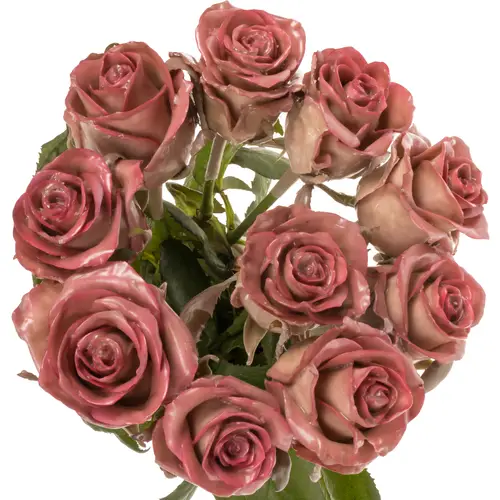 Rose braun/rosa Classic Pink Wachs Avalanche 60cm