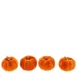 Kürbis Velvet orange D08cm x4 