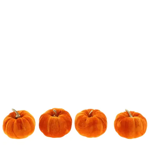 Kürbis Velvet orange D08cm x4 
