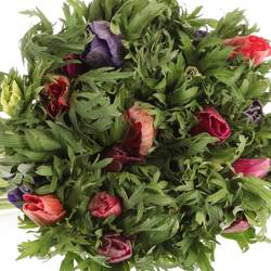 Anemone mix Import 40cm