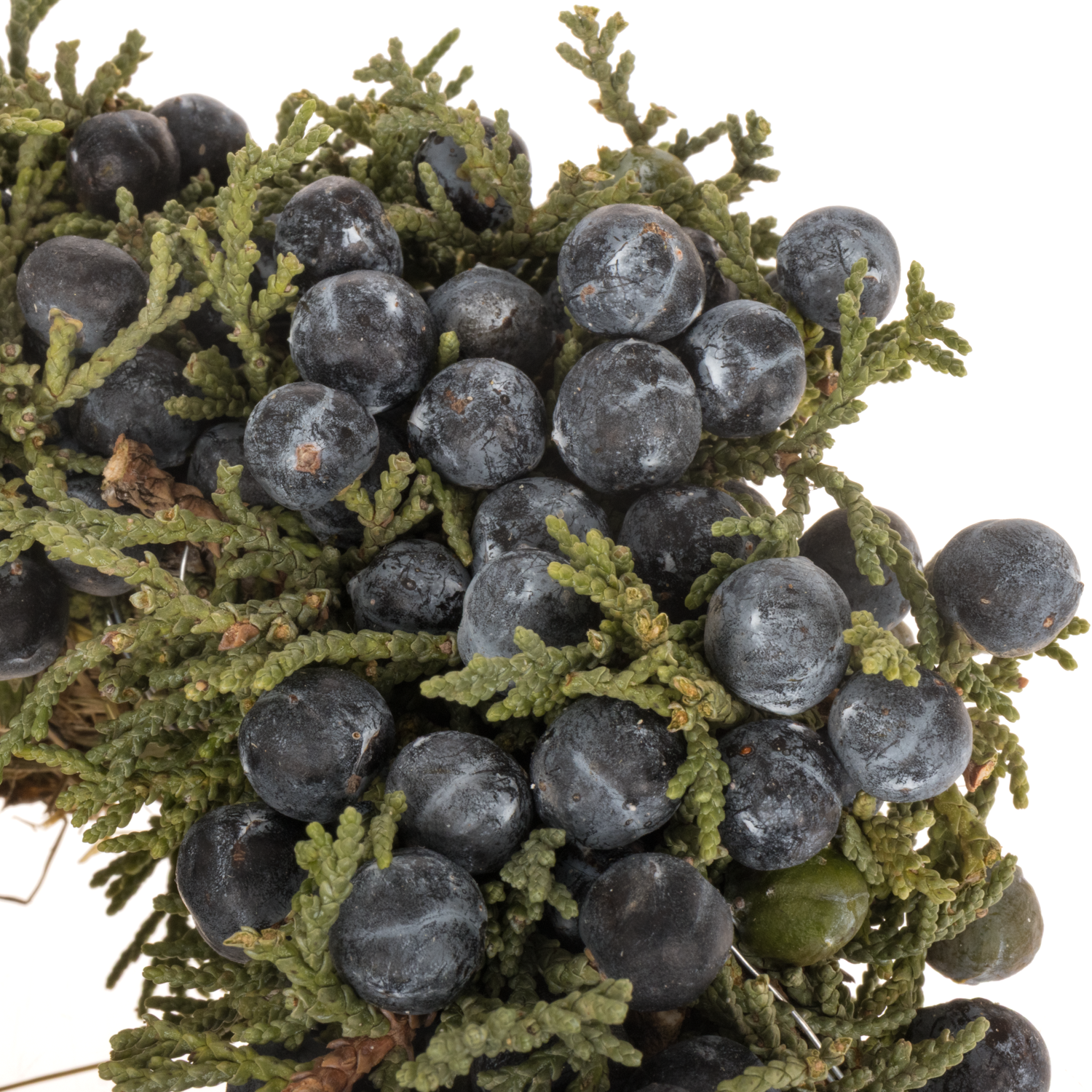 Kranz mix grün/mix Juniperus D12cm