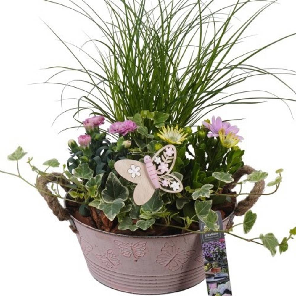 Garten.Arr PTPP6802 T23 H046