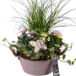 Garten.Arr PTPP6802 T23 H046