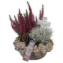 Garten.Arr PTAH8629 Allerheiligen T22 H031