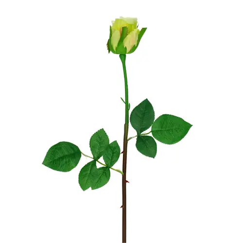 Seiden Rose grün L46cm