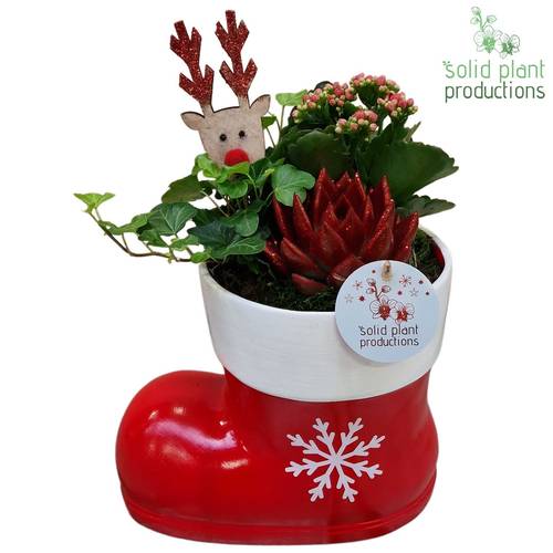 Kal.Arr KE001 Weihnachten T20 H030