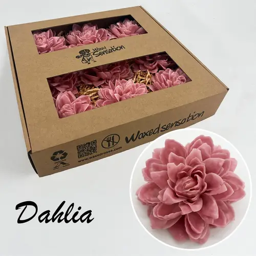 Seiden Wachs Dahlia alt rosa