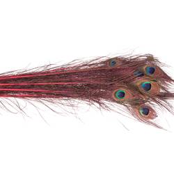 Pfauenfeder 90cm cerise/rot