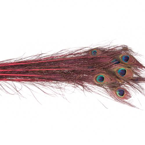 Pfauenfeder 90cm cerise/rot