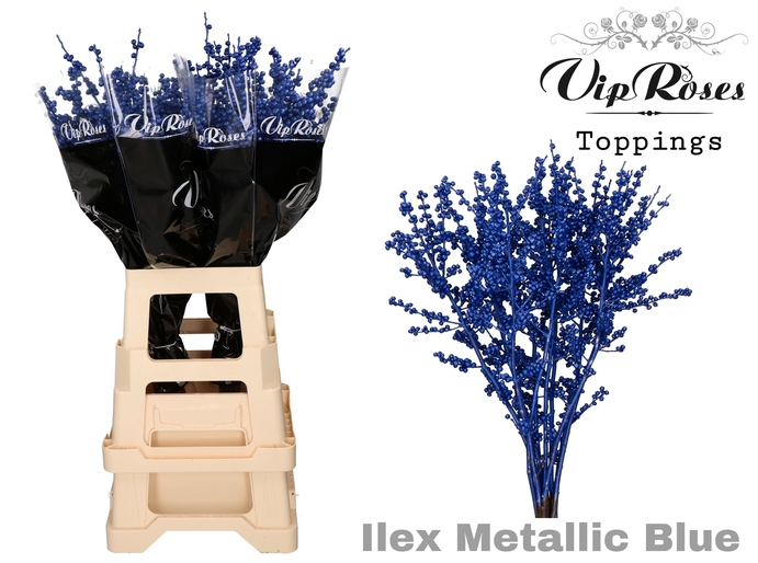 Ilex blau gefarbt 70cm