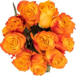 Rose orange Diyas Fire 40cm