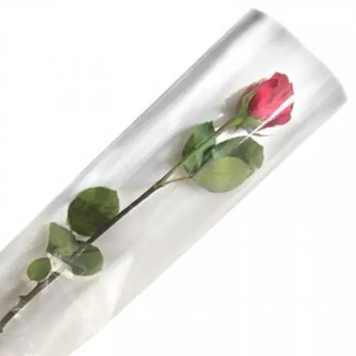 Tüte 1Rose 16x80cm x100