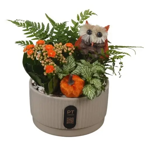 Kal.Arr PTHI3205 Herbst T16 H021