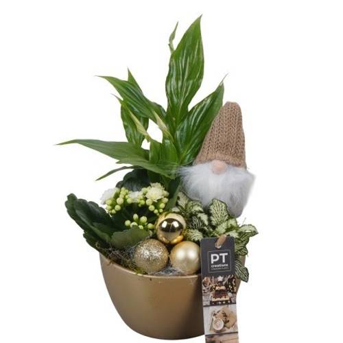 Spath.Arr PTCHG5603 Weihnachten T13 H027