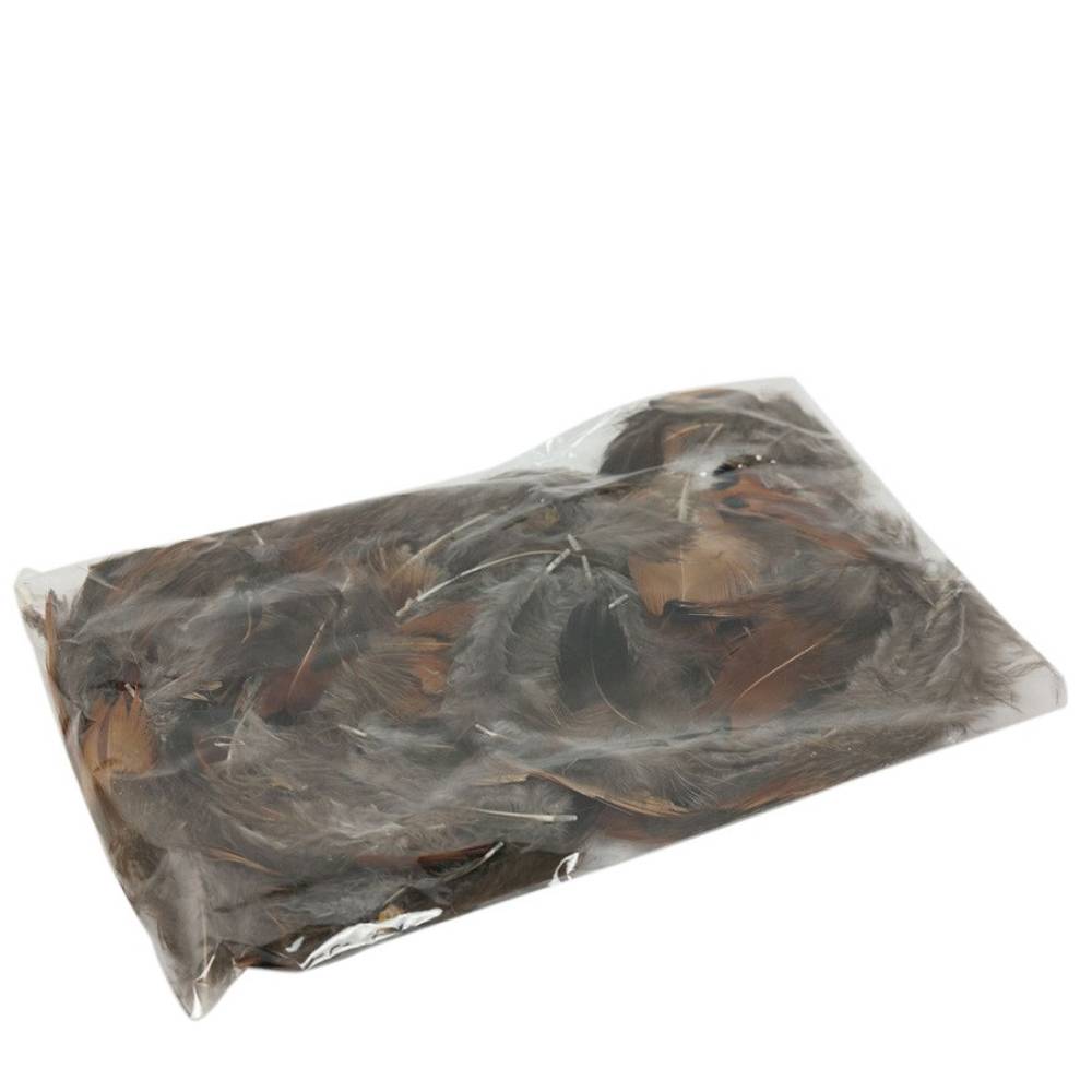 Fasan Feder 19gr