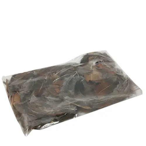 Fasan Feder 19gr