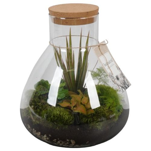 Flor.Arr PTGB1839 T29 H35