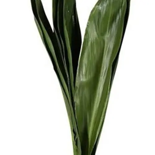 Green Tie grün 80cm (Orca)