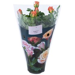 Rosa orange Party Gigi T07 H17