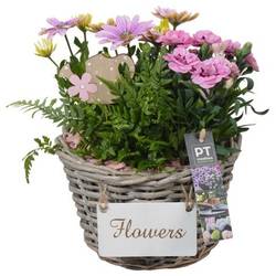 Garten.Arr PTPP6960 T21 H026