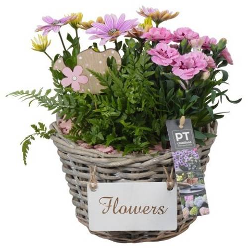 Garten.Arr PTPP6960 T21 H026