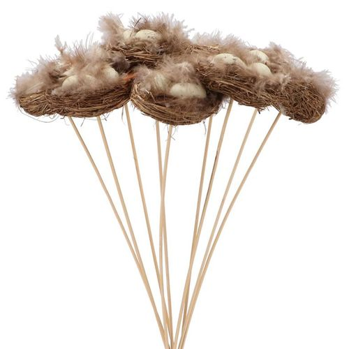 Kiebitzei auf Stab Nest l50cm 25st