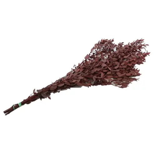 Trocken Eucalyptus rot 150gr L65cm