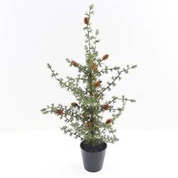Baum Ming Pine im Topf grün H67cm