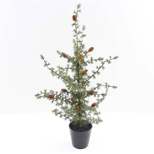 Baum Ming Pine im Topf grün H67cm