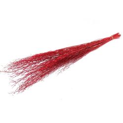 Trocken Mustard Grass rot L90cm