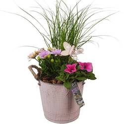 Garten.Arr PTPP6805 T19 H049