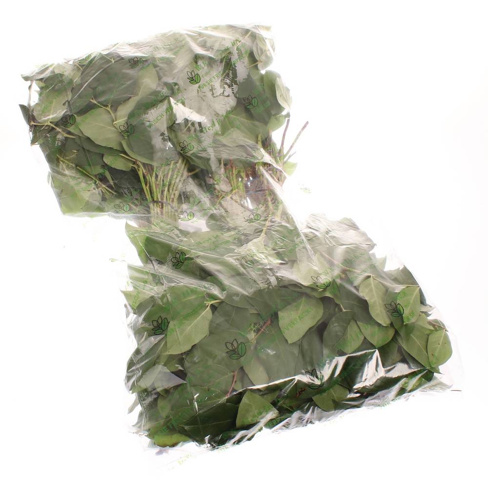 Salal grün Tips Sack 350 Gramm