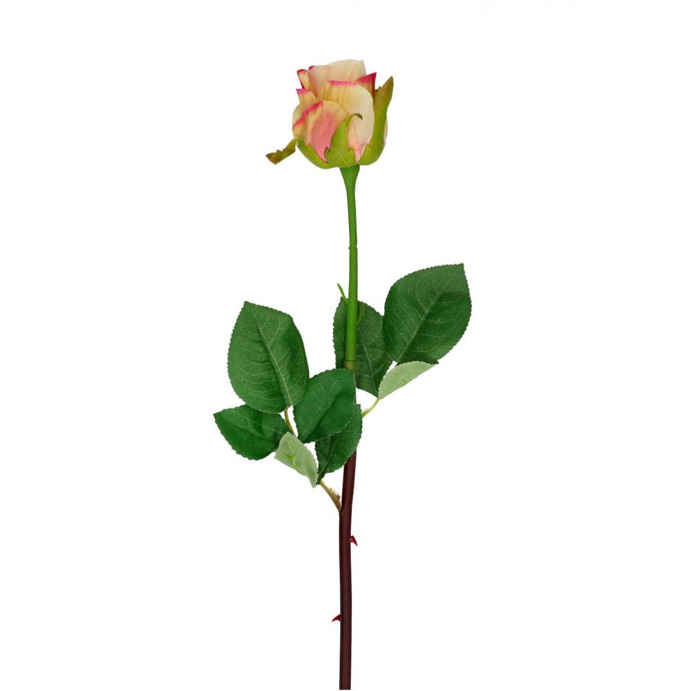 Seiden Rose creme/dunkel rosa L46cm