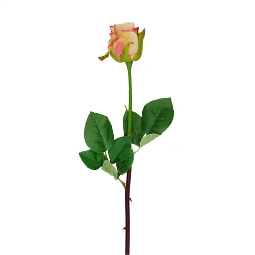 Seiden Rose creme/dunkel rosa L46cm