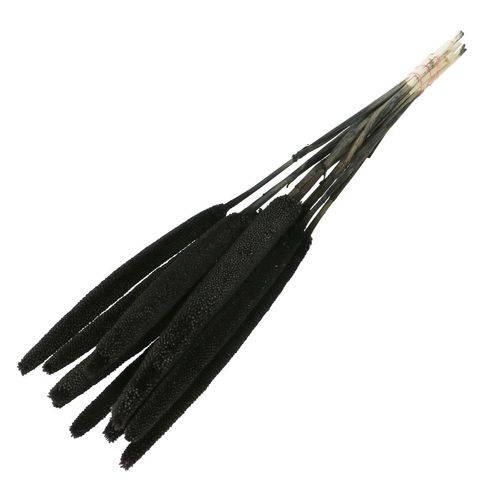 Trocken Bapala schwarz L65cm x10