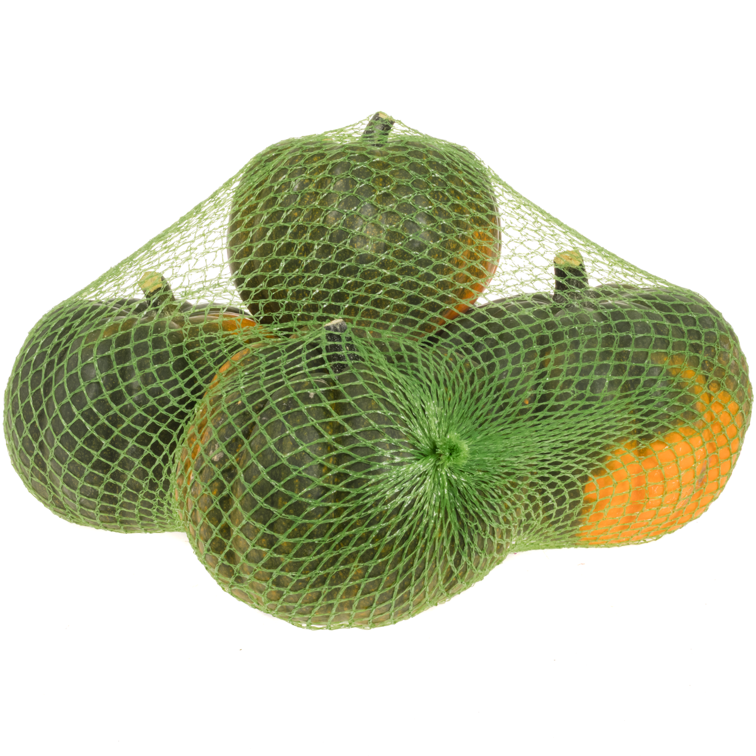Zierkürbis  grün Black Cat 14cm Im Netz X5