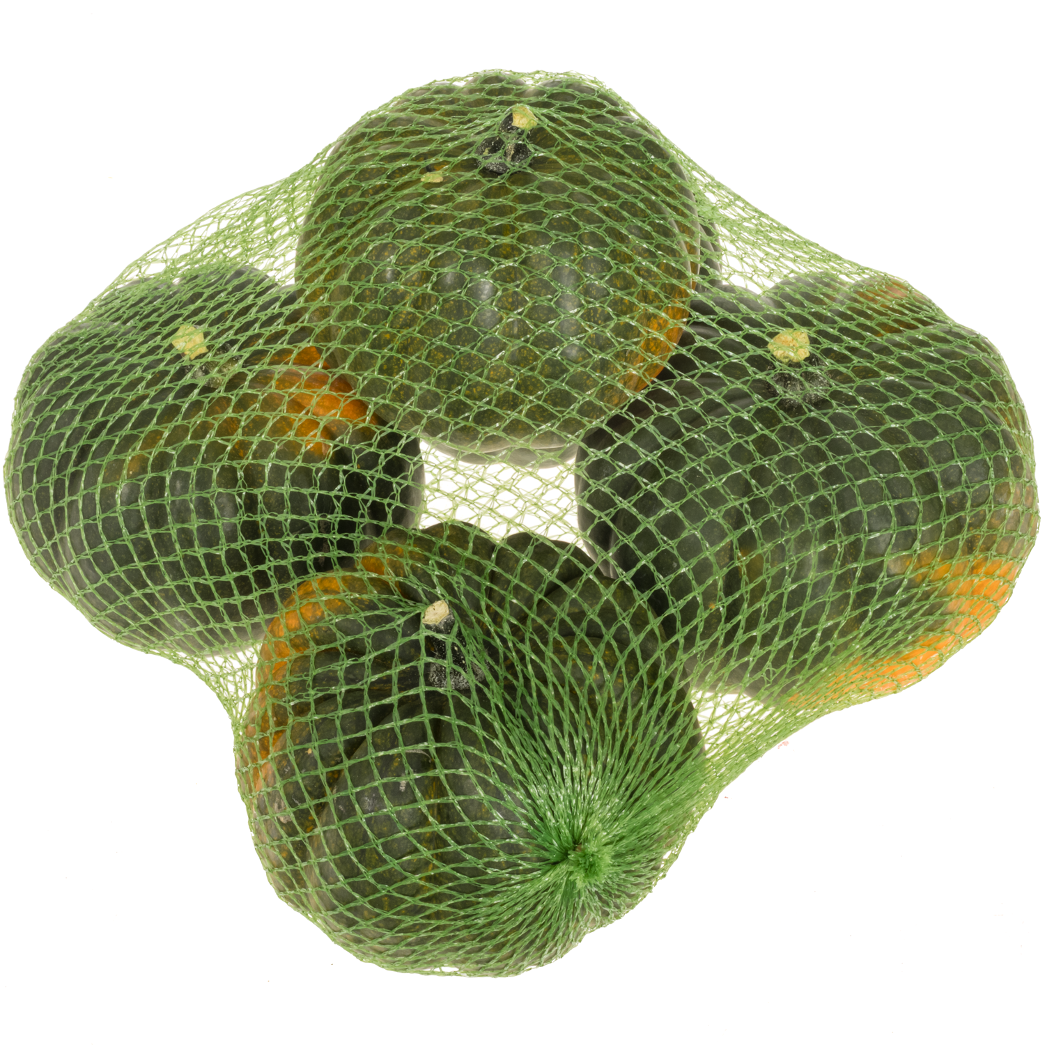 Zierkürbis  grün Black Cat 14cm Im Netz X5