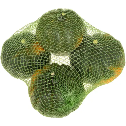 Zierkürbis  grün Black Cat 14cm Im Netz X5