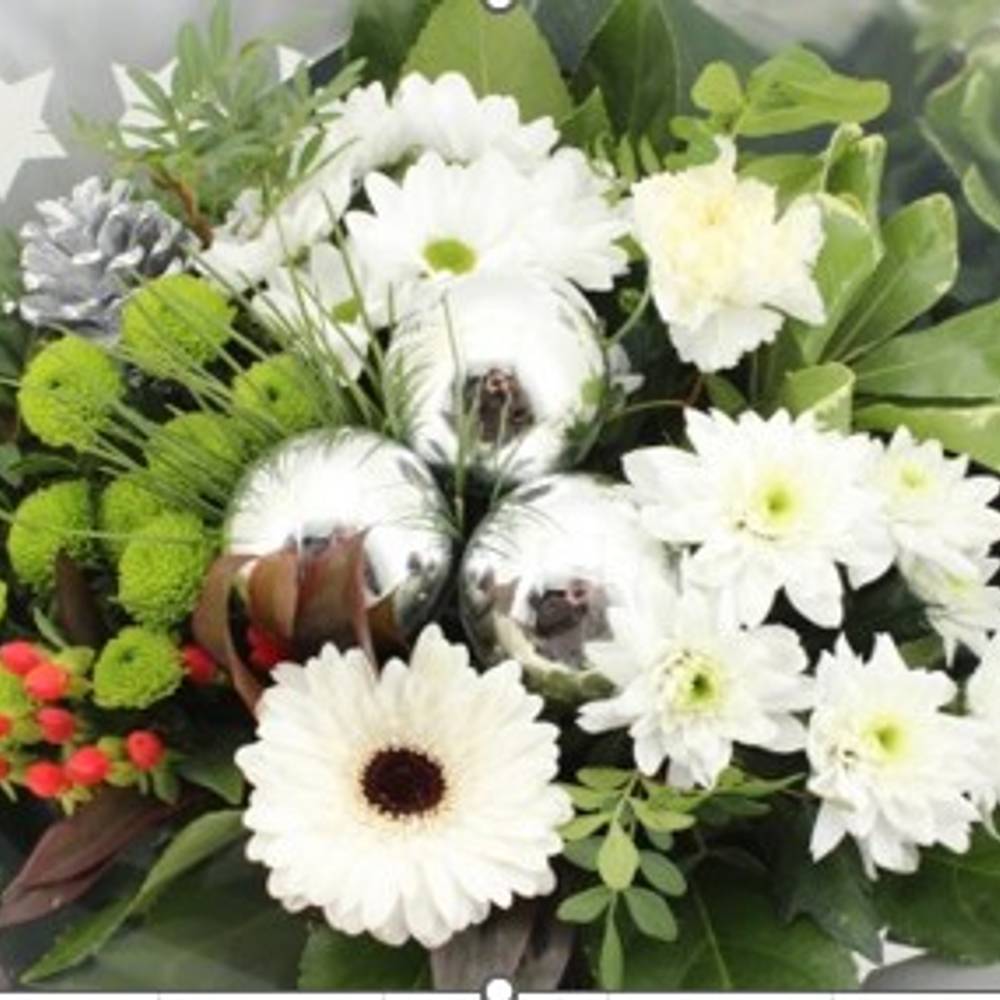 Strauß weiss Germ. Weihnachten 18 Stiele 50cm