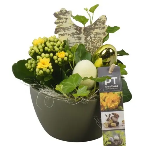 Kal.Arr PTPB6514 Ostern T14 H020