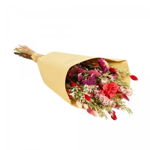 Trockenblumen Strauss Field rot L50cm