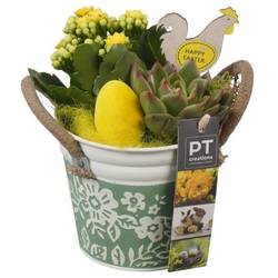 Kal.Arr PTPB6440 Ostern T12 H019