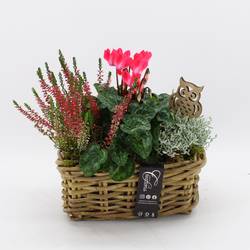 Garten.Arr-2517 Herbst T27 H030