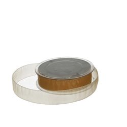 Band Organza gold 25mm 50m