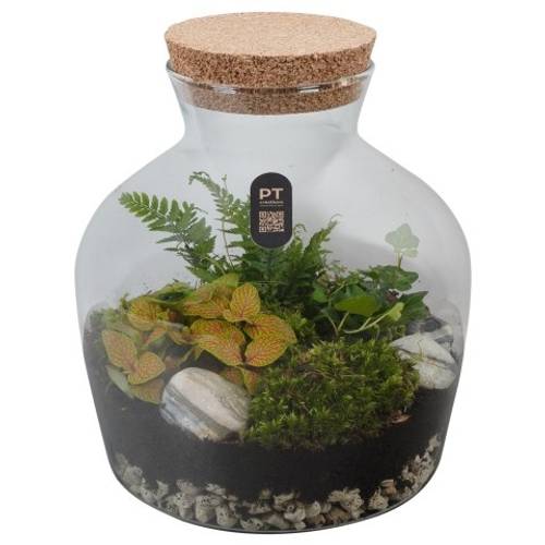 Flor.Arr PTTER8109 T24 H027