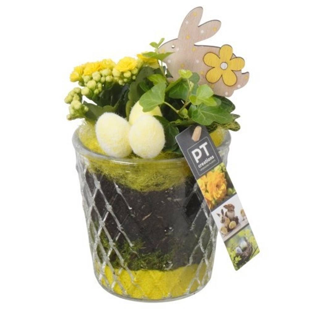 Kal.Arr PTPG9386 Ostern T12 H022