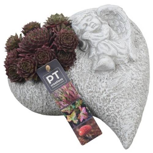 Garten.Arr PTAH8607 Allerheiligen T23 H014