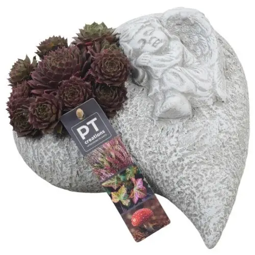 Garten.Arr PTAH8607 Allerheiligen T23 H014