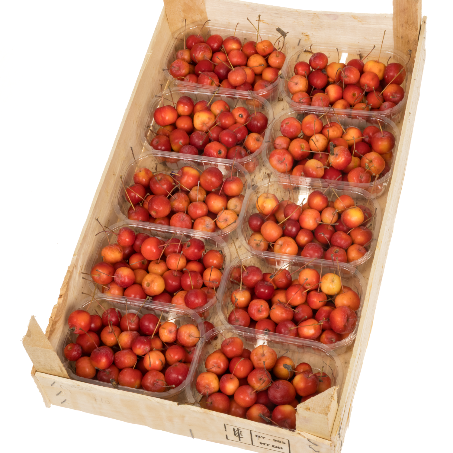 Zierapfel Klein rot Sentinel