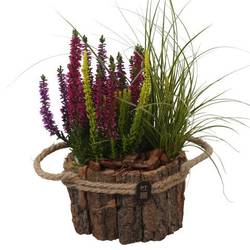 Garten.Arr PTHO7656 Herbst T17 H033